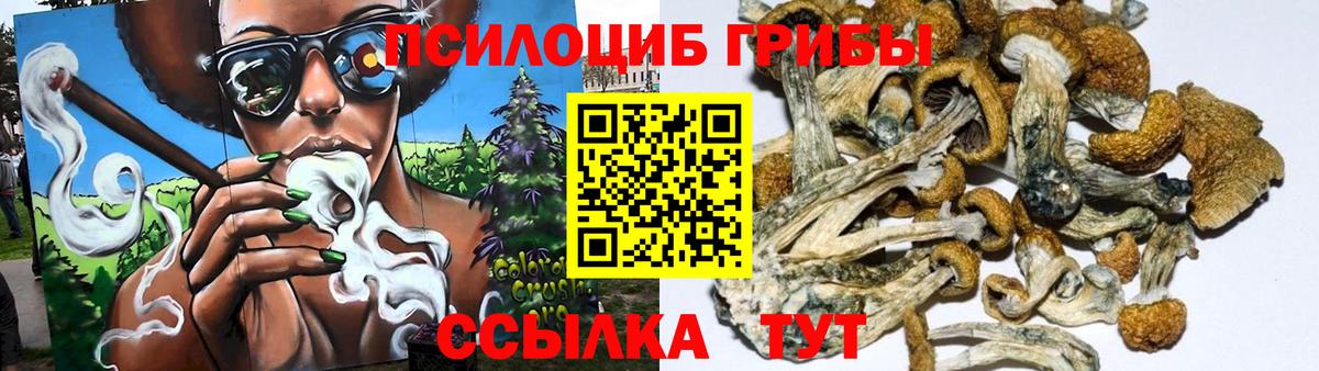 Галлюциногенные грибы Magic Shrooms  Псилоцибиновые грибы Magic Shrooms  Вход с VPN  Дубна 